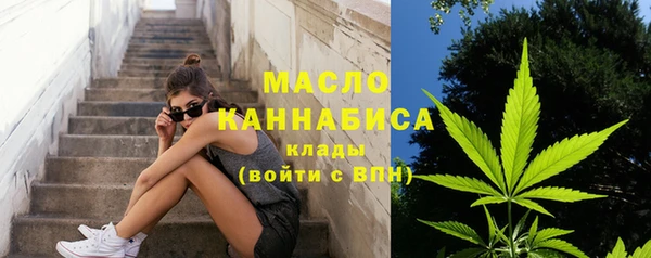 не бодяженный Ельня