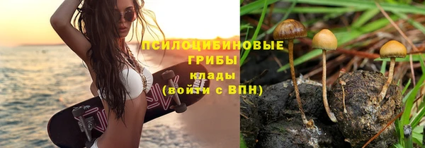 apvp Елабуга